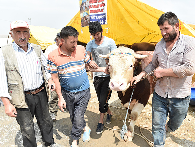 Ankara�n�n �ampiyonu Mamak�ta 