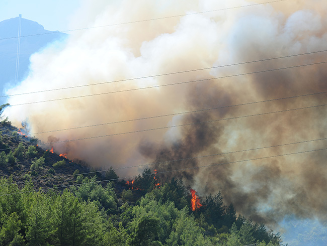 Antalya'da orman yangn kt:  6 hektar alan kl oldu 