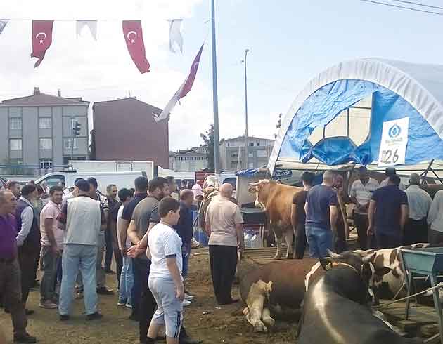 Pazarda kurbann yzde 95'i bitti