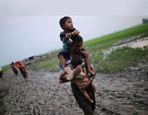 ABD, Arakan iin  maymunu oynad