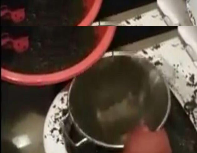 Polisi grnce uyuturucuyu klozete dkt