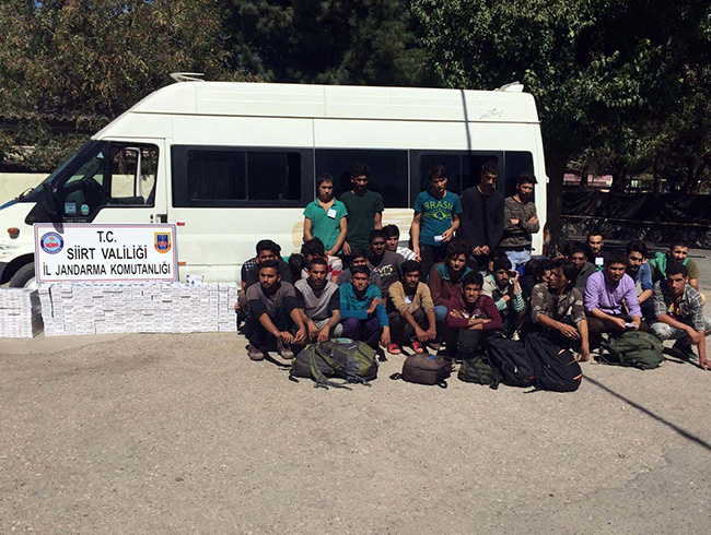 Siirt'te 33 gmen yakaland