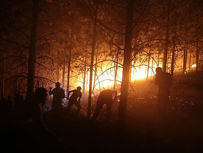 Ktahya Valisi Nayir: Ktahya'daki orman yangnlar 600 hektar alanda etkili oldu