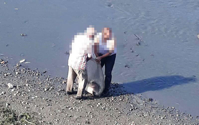 Sakarya Nehri kenarnda kalanikof bulundu