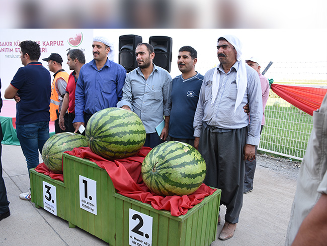 Diyarbakrn en ar karpuzu seildi