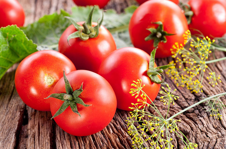 Rusya'ya domates ihracat ile ilgili bakanlktan aklama: Sz konusu deil