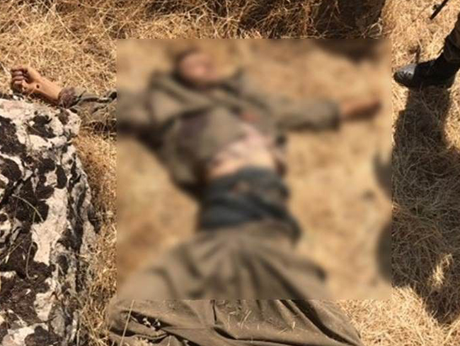 Tunceli'de ldrlen terristin PKK'nn szde st dzey sorumlularndan olduu tespit edildi