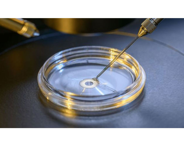Bilim dnyasnda bir ilk: nsan embriyosunda 'kimyasal ameliyat'