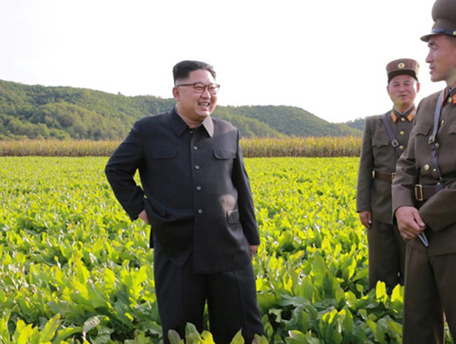  Gney Kore: Kuzey Kore byk provokasyon ierisinde