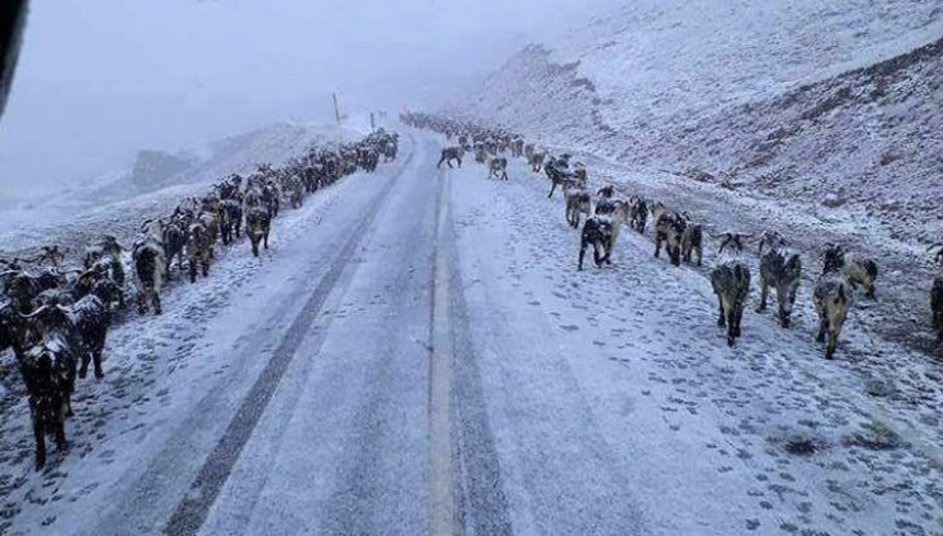 Meteoroloji'den kar ya uyars 