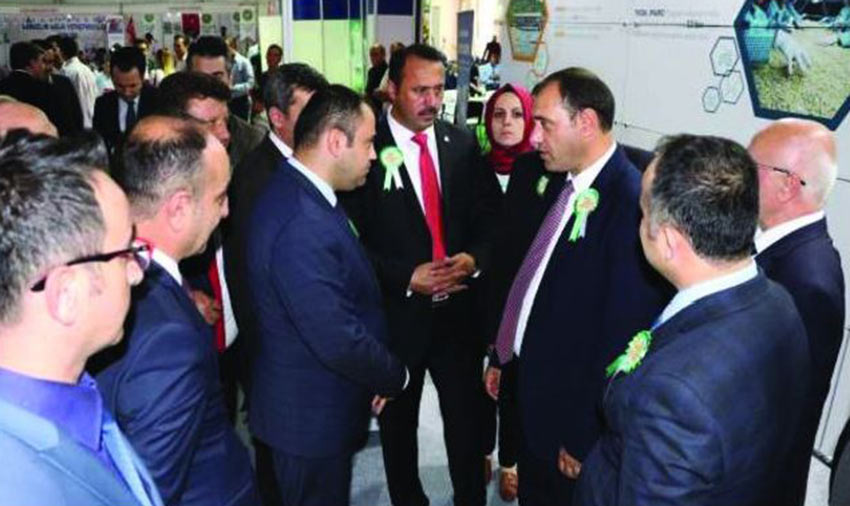 TKDK standna youn ilgi 