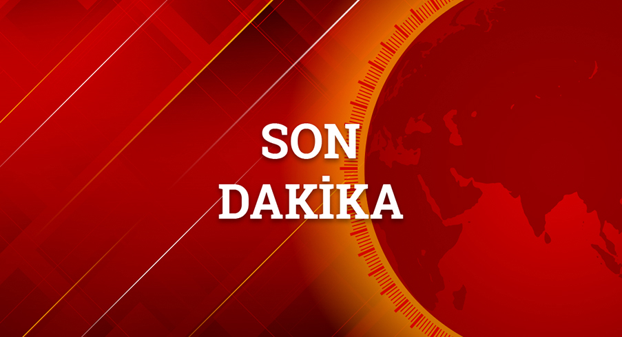 HDP'li elik'e 6 yl hapis cezas