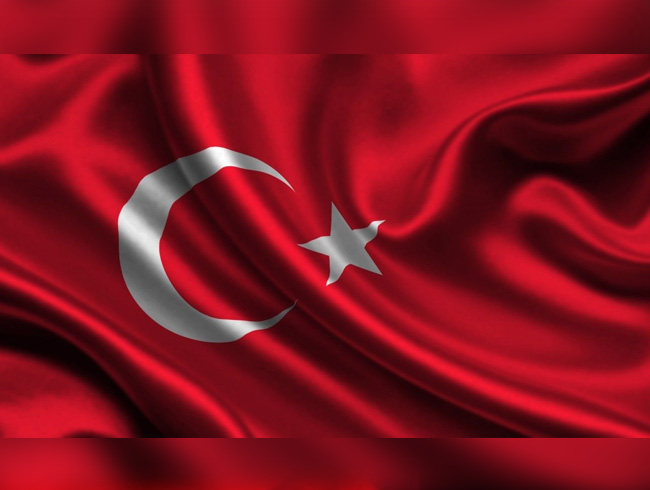 ABD'ye vize misillemesi