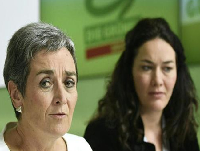 Avusturya'da 31 yl sonra Meclis dnda kaln Yeiller Partisi e babakanlar Ulrike Lunacek ve Ingrid Felipe grevlerinden istifa etti