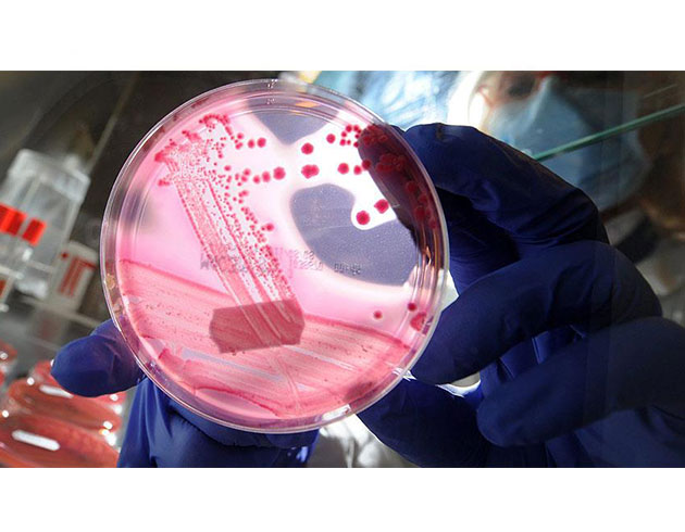 DNA'daki genomlarda deiiklik yapmay kolaylatran enzim kefedildi