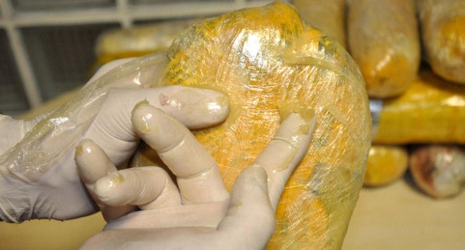 ''Kpek kokusunu almasn'' diye uyuturucuya gres ya srmler