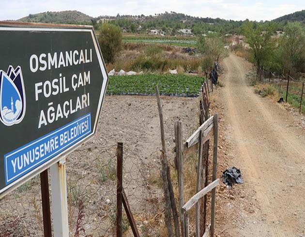 Milyonlarca yllk