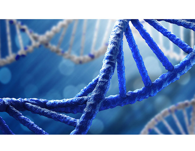 Kendi kendine oluabilen DNA zincirleri gelitirildi