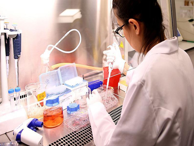 Kendi kendine oluabilen DNA zincirleri gelitirildi