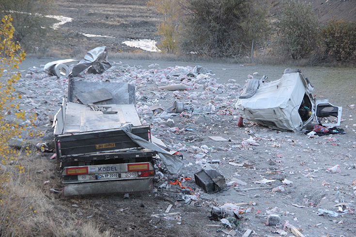Erzincan'da freni boalan tr 25 kilometre seyrettikten sonra arampole devrildi  