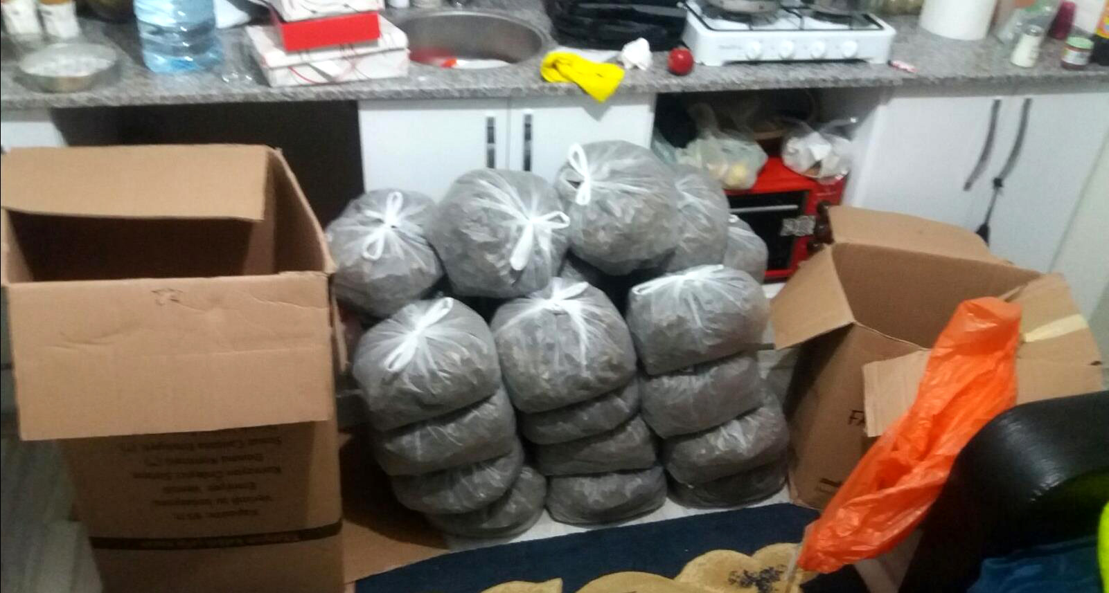 zmir'de 33 kilogram ''skunk''u ''Bea'' buldu