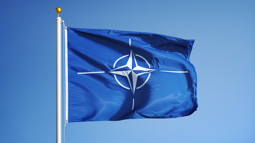 NATO: Erdoan fotorafn seen subay ordudan atld