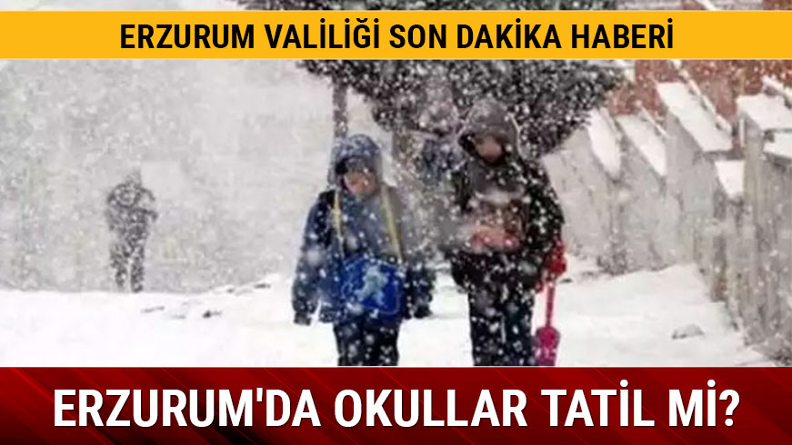 Erzurum'da kar ya uyars