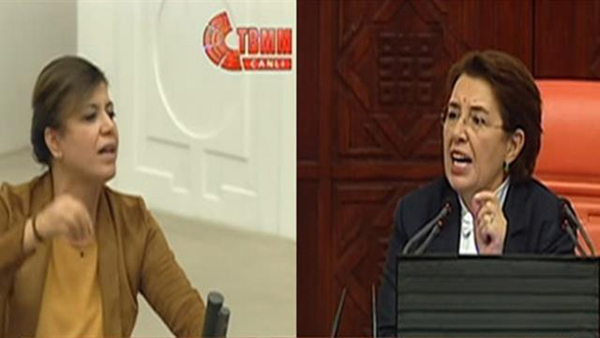 Meclis Bakanvekili Ayenur Bahekapl, krsde terristleri savunmaya alan HDP'li Meral'e haddini bildirdi