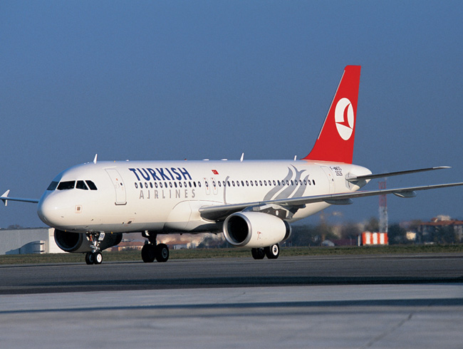 THY, Almanya'ya evcil hayvan ta��mayacak