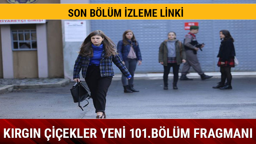 K�rg�n �i�ekler 100.b�l�m ekrana kilitledi