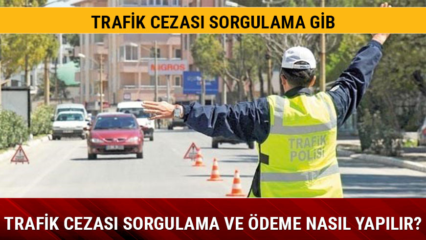 Trafik cezas deme ve sorgulama nasl yaplr?