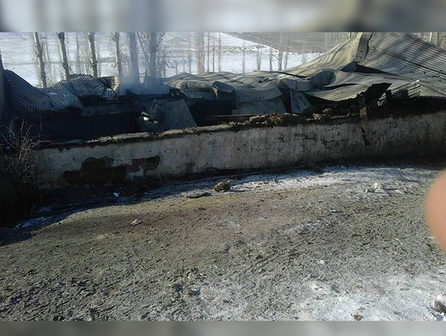 Erzurumda yanan ahrda 17 bykba hayvan telef oldu  