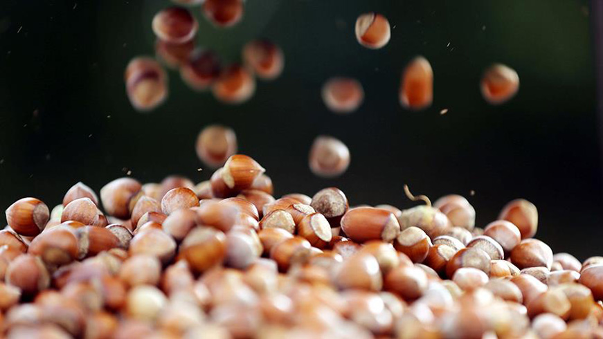 TMO 80 bin �reticiden f�nd�k ald�