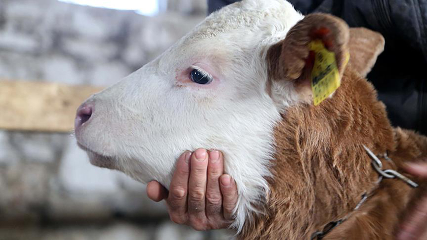 2018'de b�t�n a��lar bedava yap�lacak