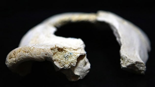 Afrika dnda bilinen en eski insan fosili kefedildi