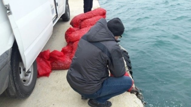 Beyolu'nda ele geirilen 3 ton midye denize dkld