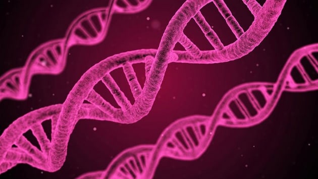 nsan yzn ekillendiren 15 gen tespit edildi