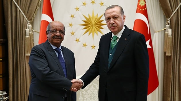 Cumhurbakan Erdoan, Cezayir Dileri Bakan'n kabul etti