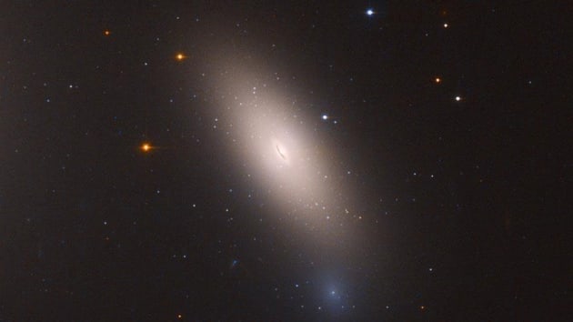 Hubble, Perse Takmyldz'ndaki 'kalnt galaksiyi' grntledi