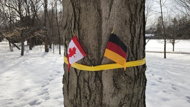 Belika kral Kanada'da yanllkla Alman bayra ile karland