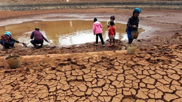 Gney Afrikada kuraklk nedeniyle 'ulusal felaket' ilan edildi