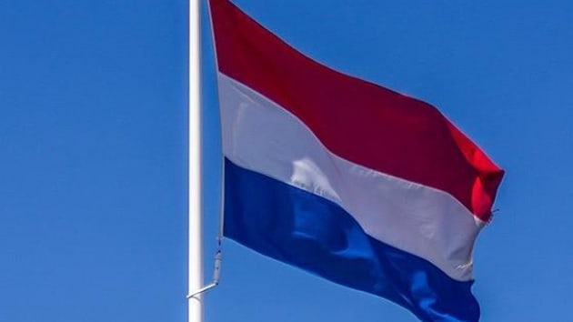 Hollanda'da rk saldrya urayan kadn, meclis yesi seildi