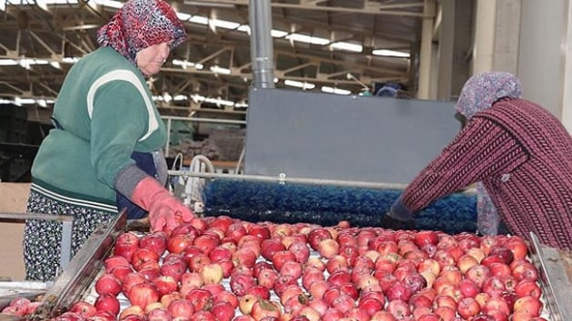 Rusya'ya ihracata elma ve nar byk katk salad