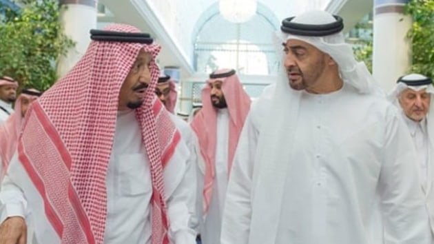 BAE ve rdn elililerinin Suudi Arabistan hakkndaki raporlar szdrld