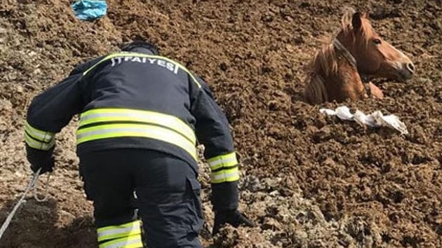 Erzurum'da bir at dklen gbreye saplanarak mahsur kald