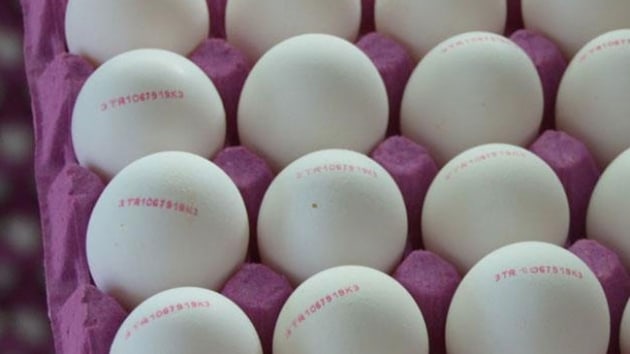 Yumurta reticileri kod uygulamasndan memnun kaldlar
