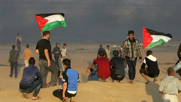srail'de yaayan Filistinliler Gazze katliamna tepki iin greve gitti