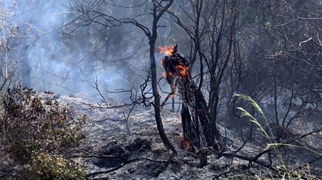 Antalya'daki ormanlk alanda kan yangn sndrld