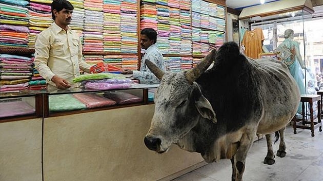 Hindistan'da inek kestii iddia edilen Mslman lin edildi