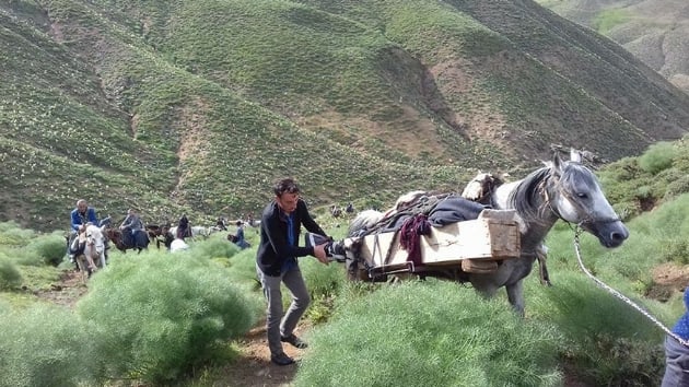 Bitlis'te koyunlarn otlatrken yldrm arpan gen ld